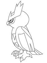 coloriage pokemon roucool hibou